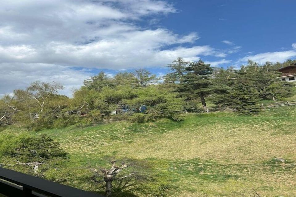 Immediate Surroundings [summer] (<1 km)