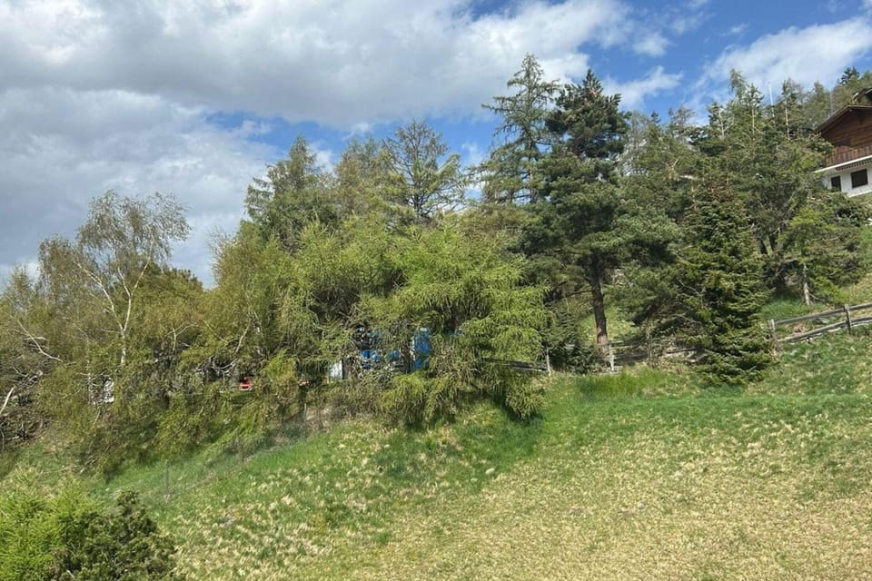 Region [summer] (>5 km)