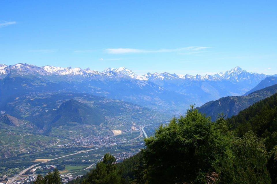 View from Holiday Home [summer]