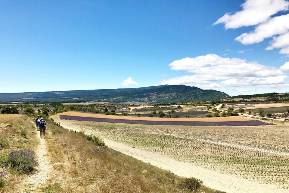 Surroundings [summer] (1-5 km)