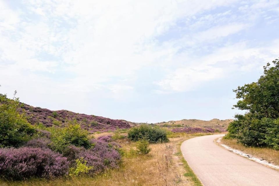 Region [summer] (>5 km)