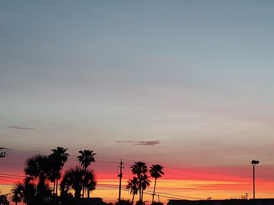 Miscellaneous