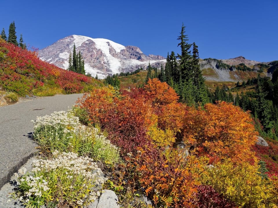 The beauty of Mt. Rainier is like nothing you've seen before