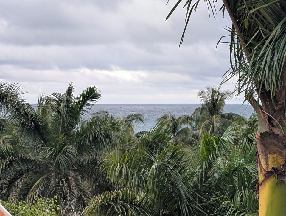 View from property