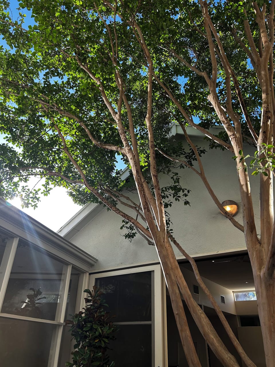 Exterior detail