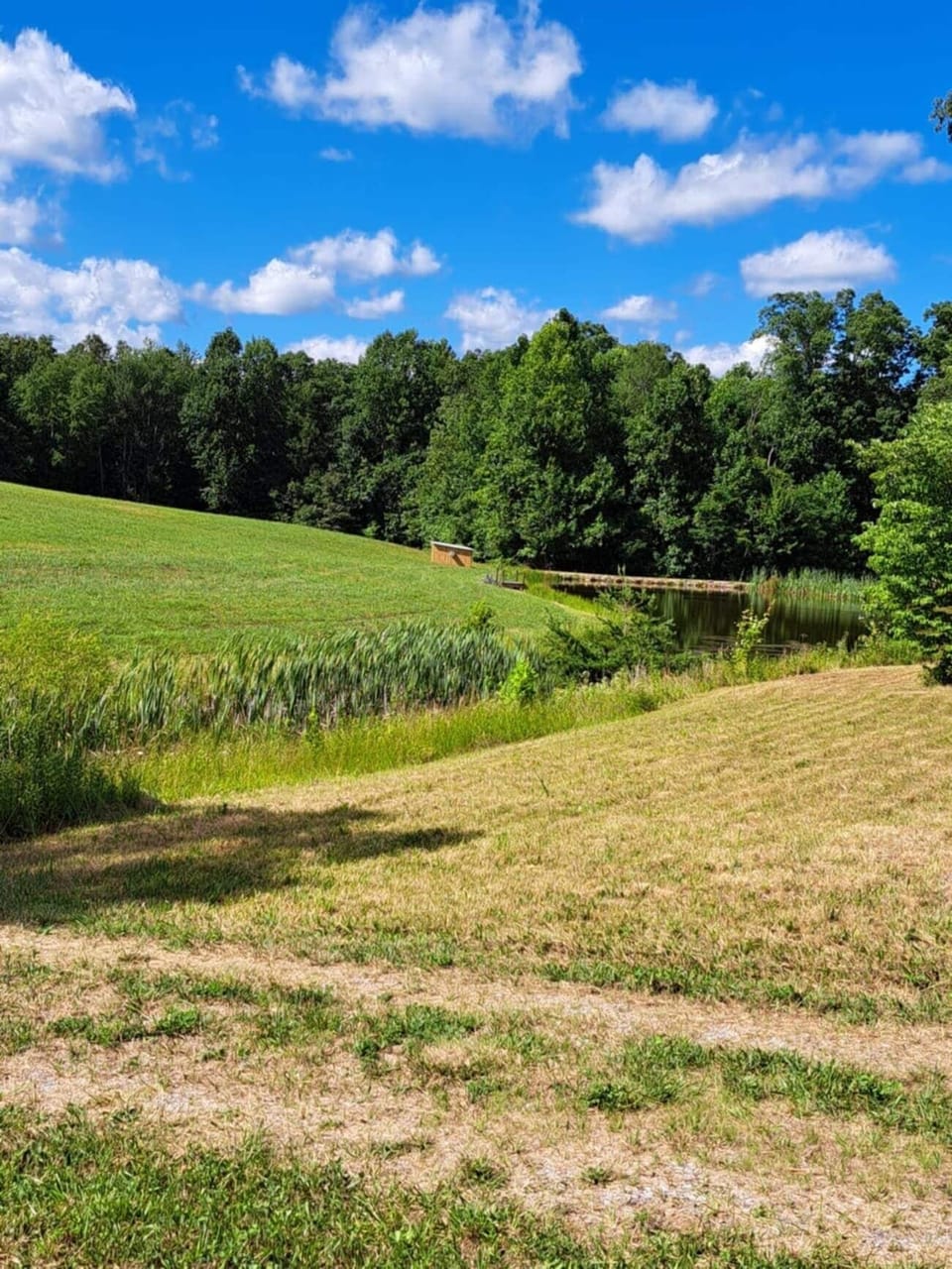 Views from the camper
