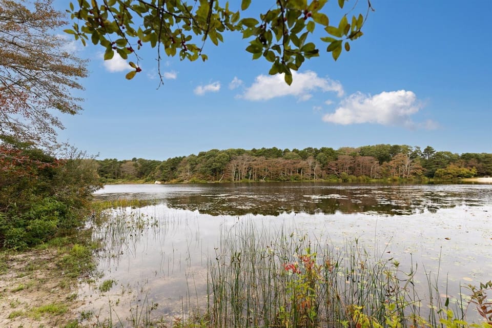 Take the canoe and explore the natural beauty of Blueberry Pond. Book today!