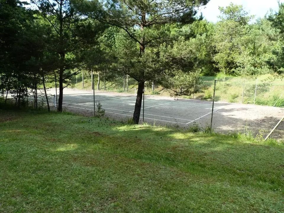 Sport court