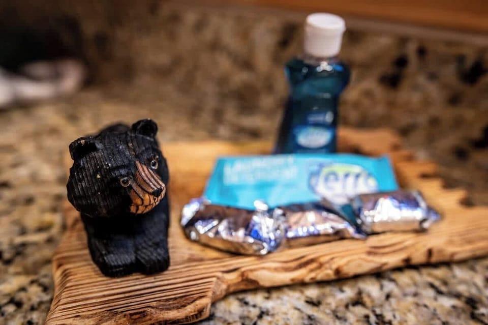 Amenities Spotlight: Experience rustic charm with a cute bear figurine and essential goodies!