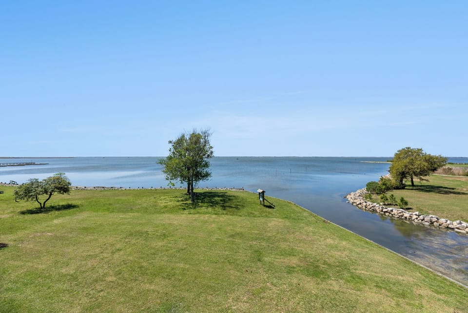 CL336: Silence of the Clams | Top Level Deck View