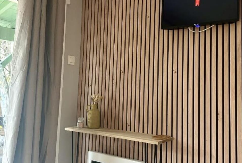 Television