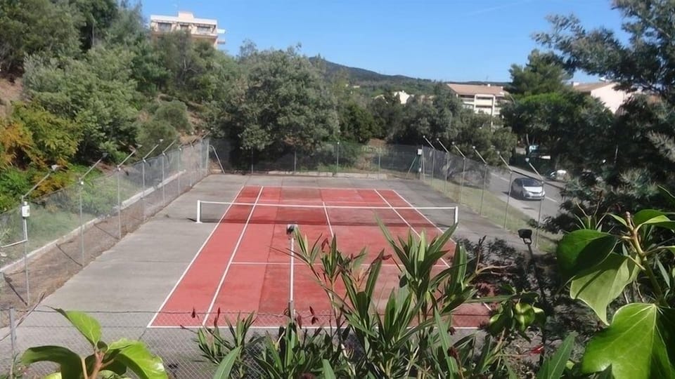 Sport court