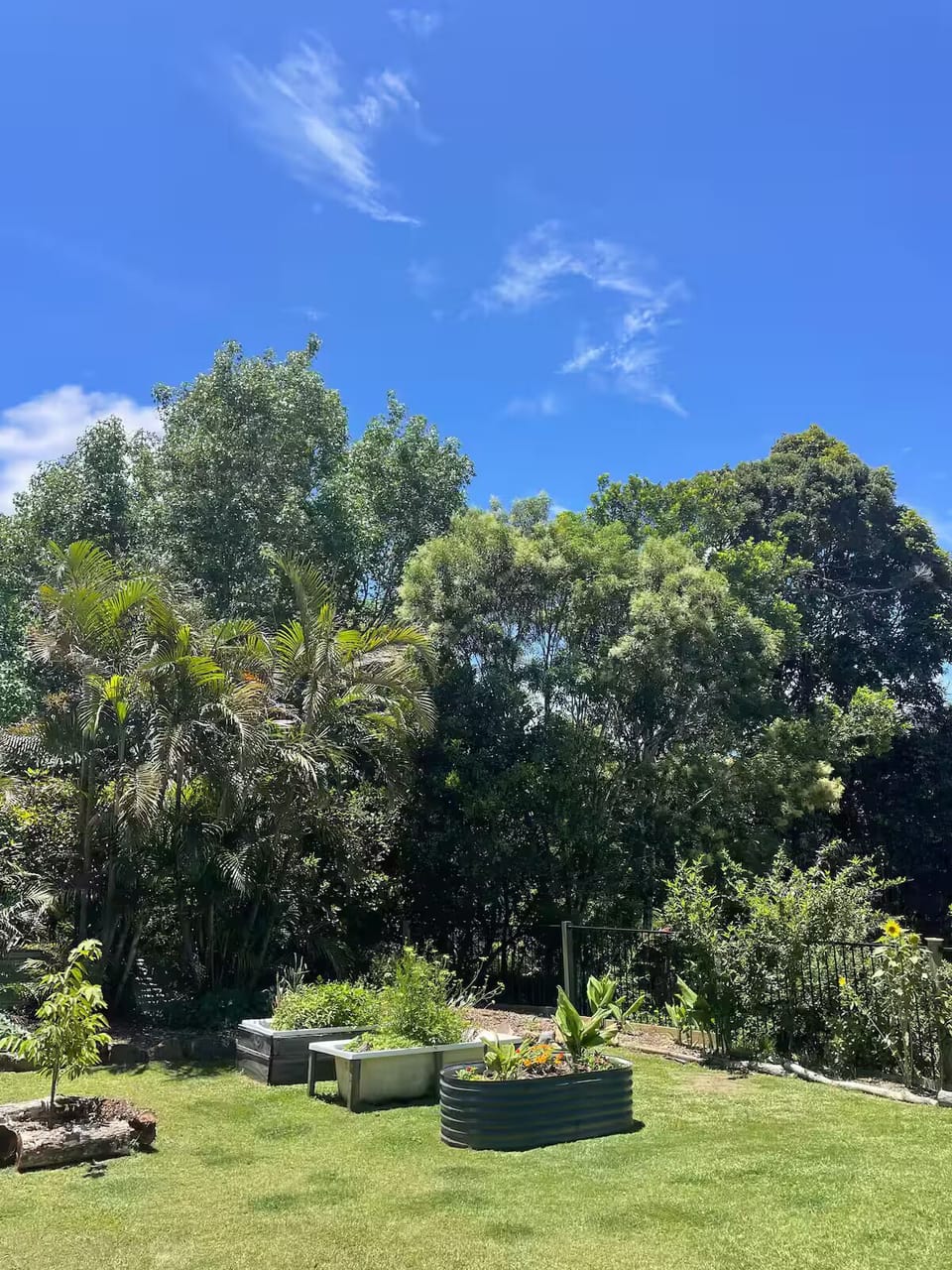 Front yard