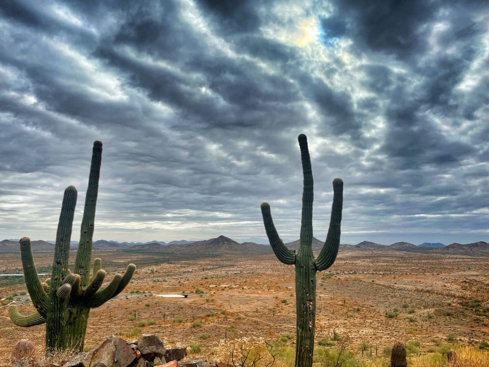 Enjoy nearby desert walks and hikes.