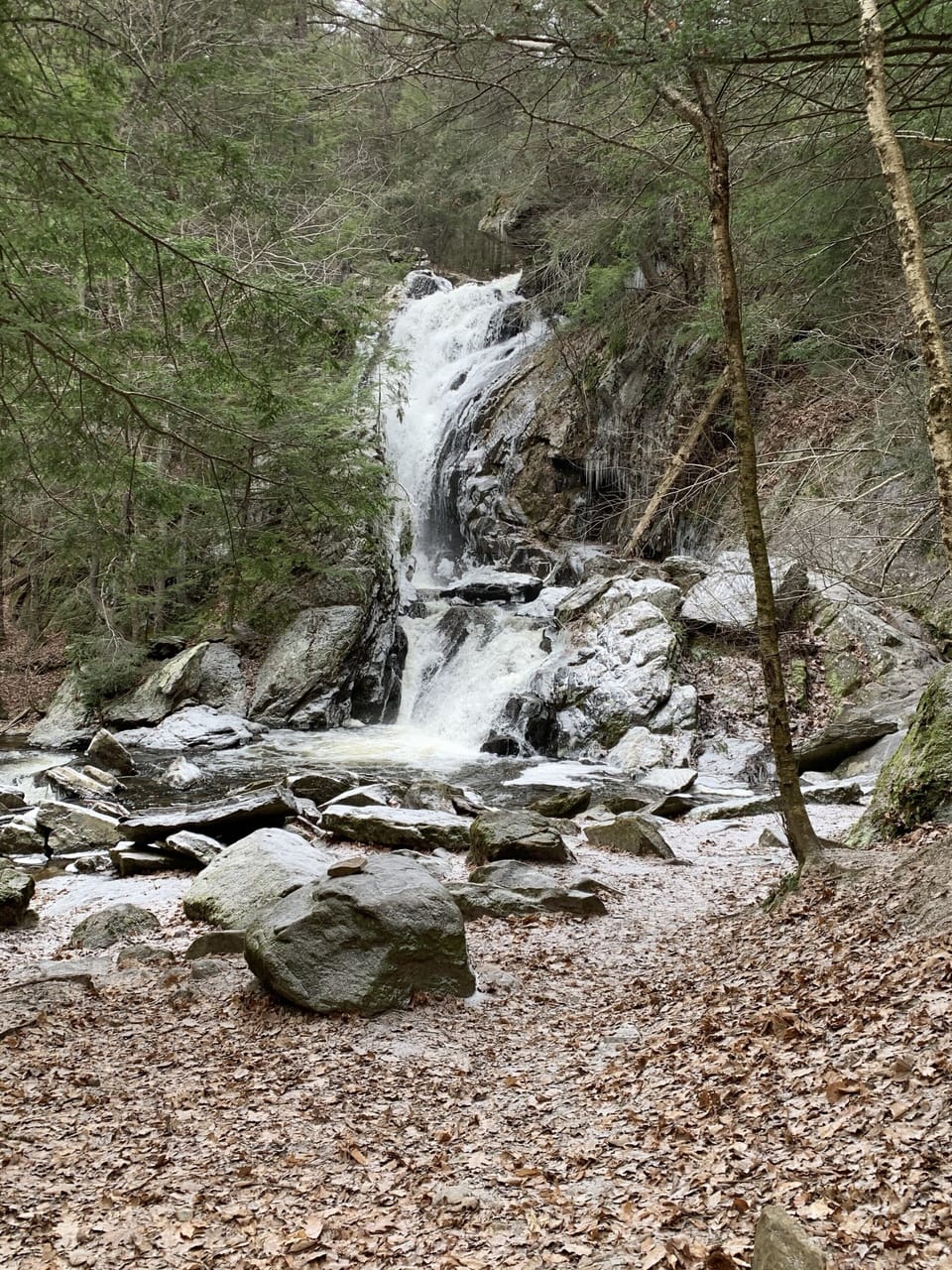 Nearby Campbell Falls - beautiful in every season!