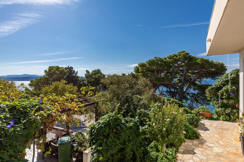 Terrace 2