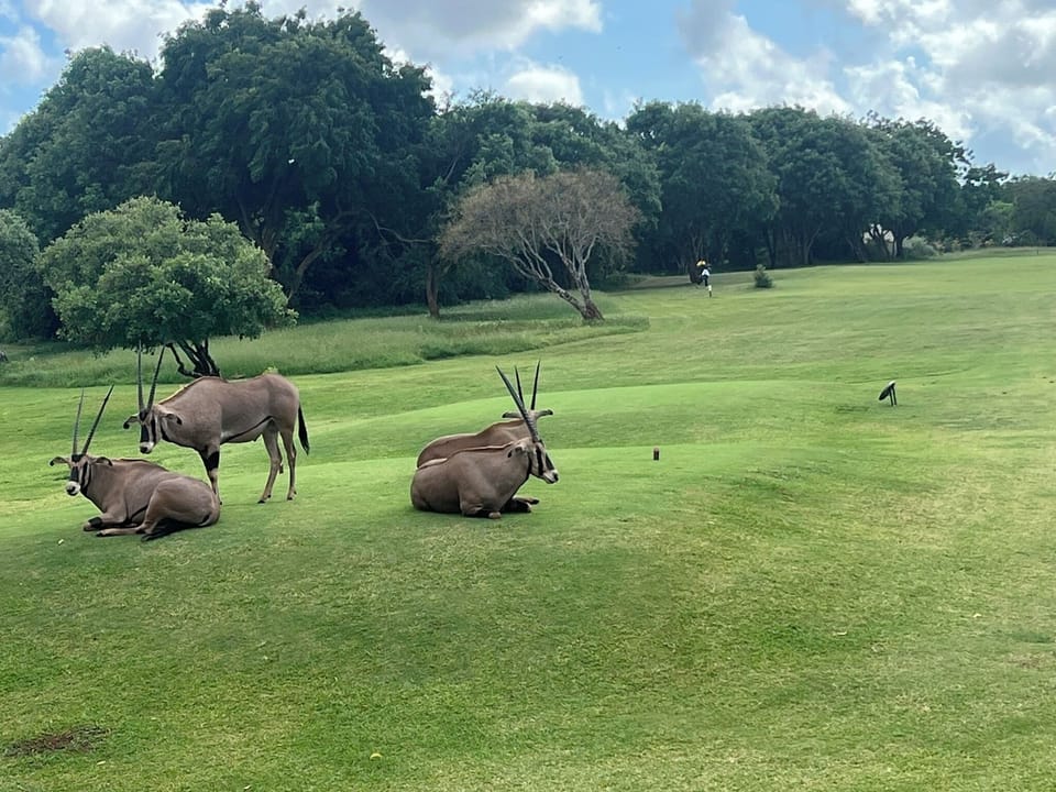Golf