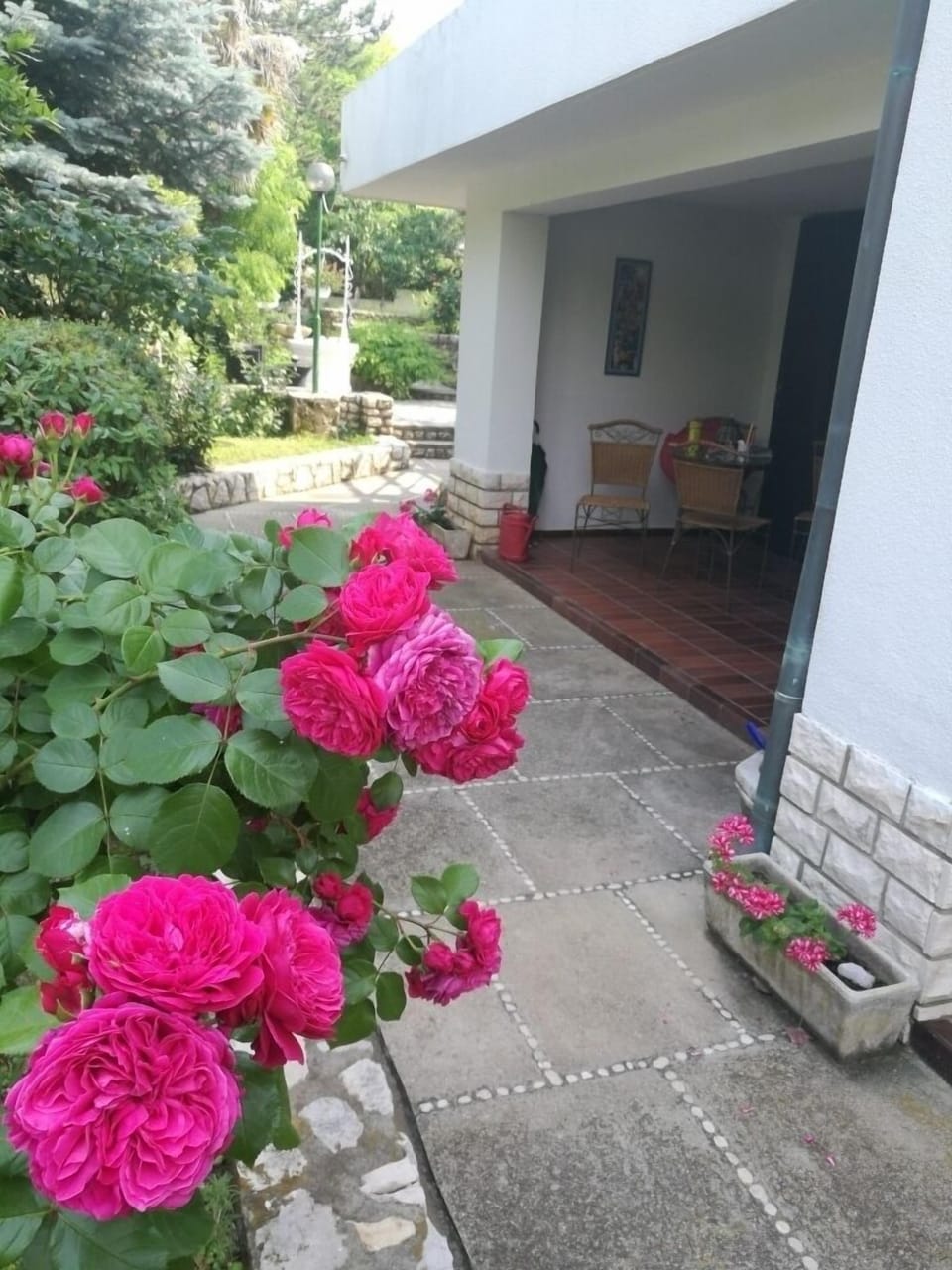 Terrace 1