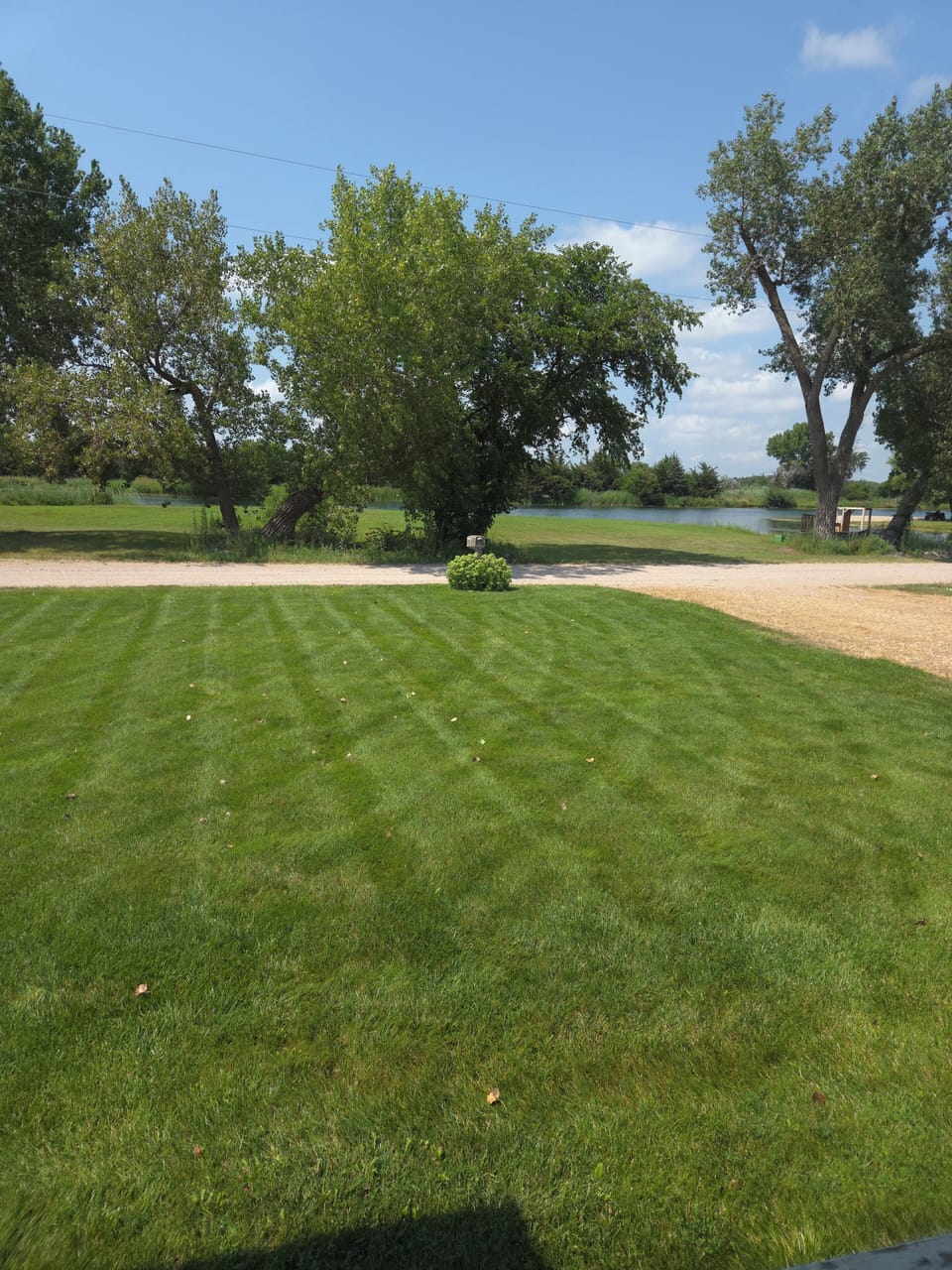 Front yard
