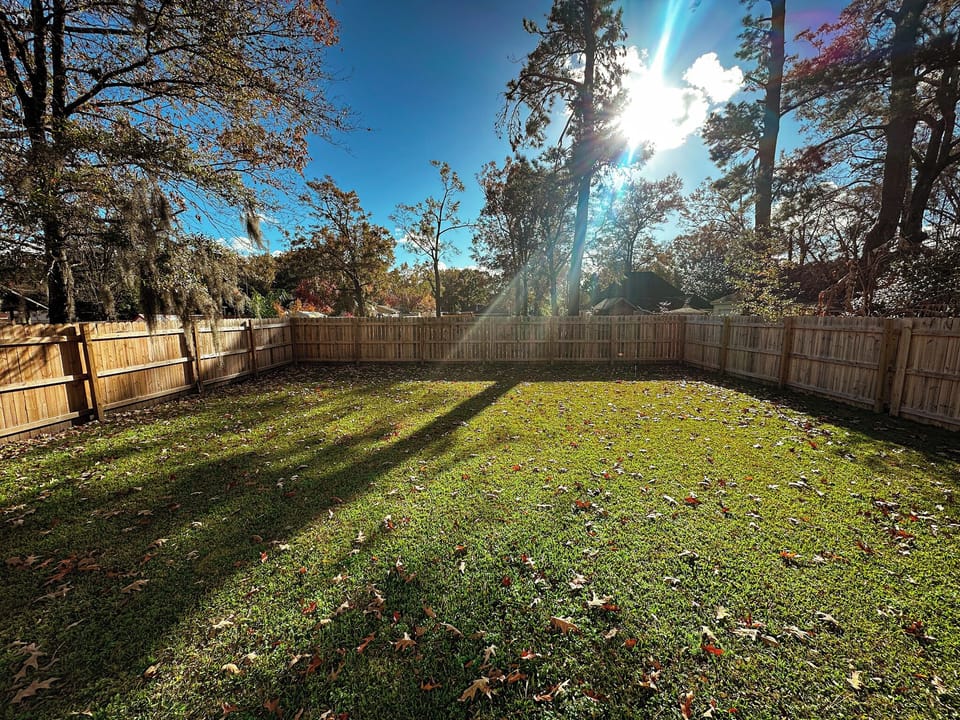 Back Yard