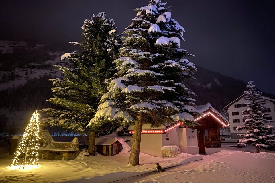 Garden [winter]