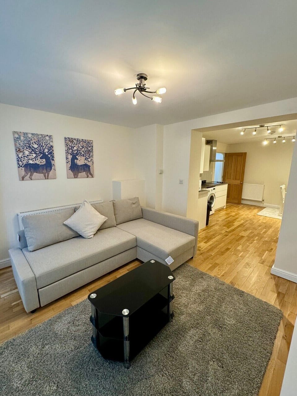Living Room / Lounge