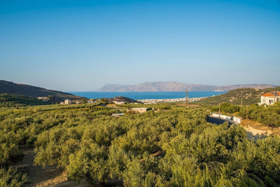 Scenic View