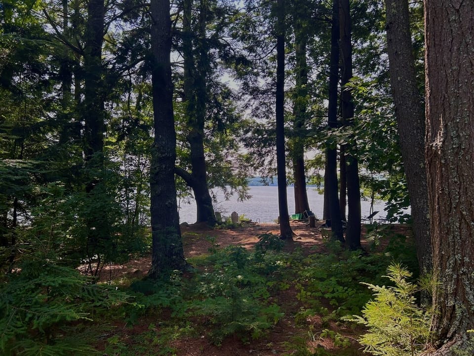 water view