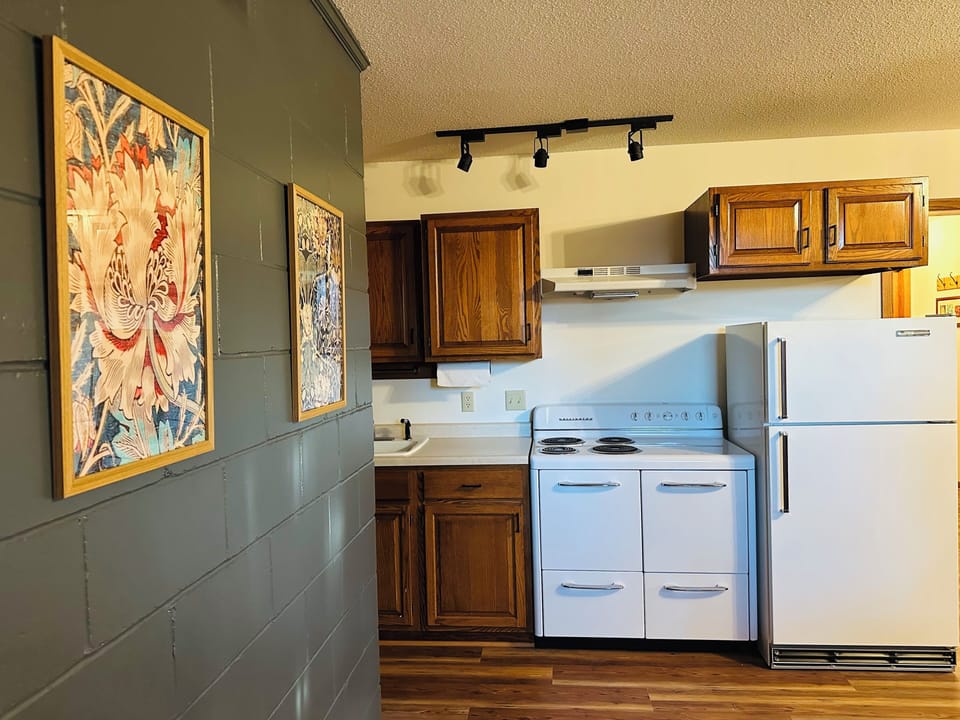 Lower level kitchenette.