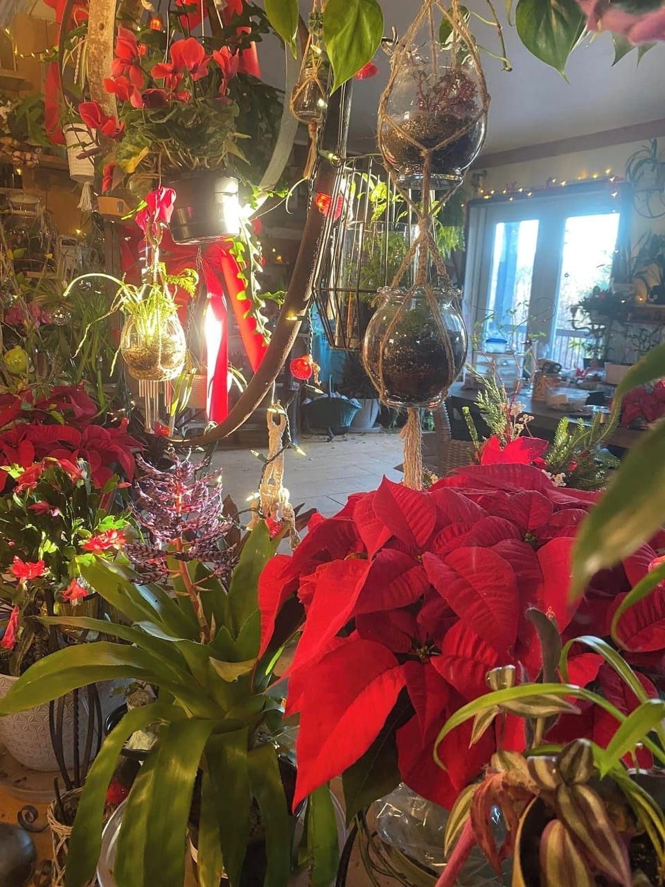 Miscellaneous