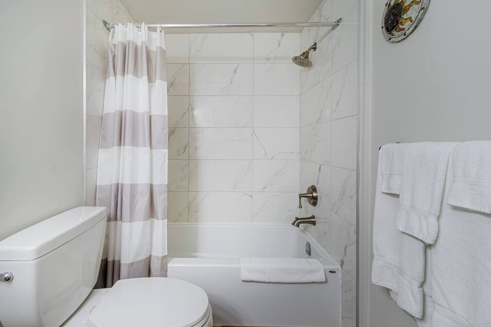 Bathroom (bathtub and shower) (2)