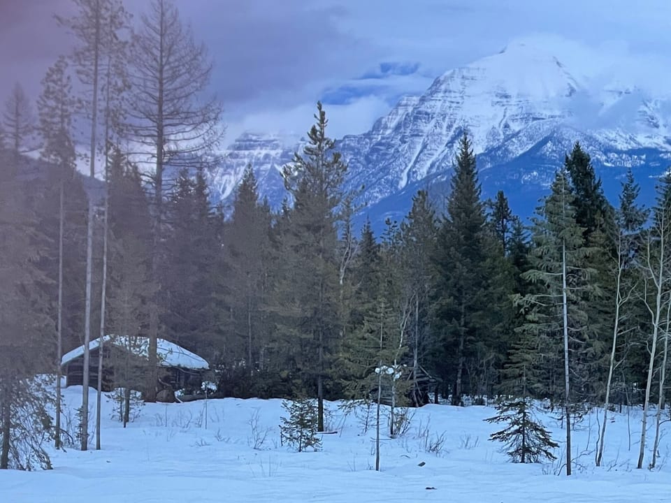 Historic Cabin on property being restored