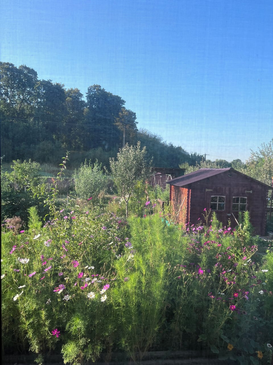View from property