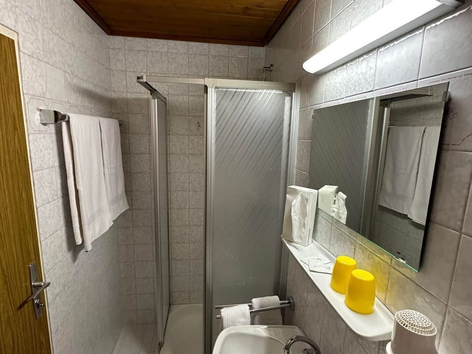 Double room, bath, WC, economy - Dorferwirt Bed and Breakfast in Salzburgerland