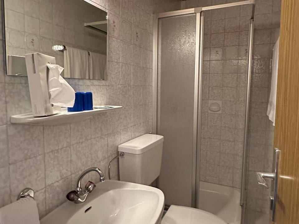 Double room, bath, WC, standard - Dorferwirt Bed and Breakfast in Salzburgerland