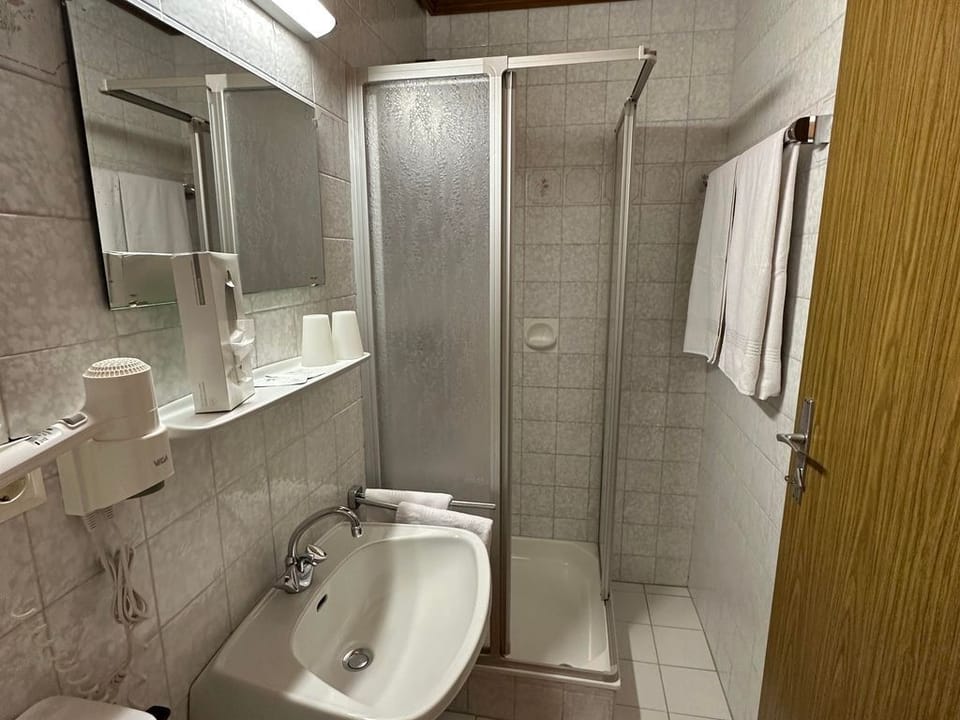 Family room, shower,WC,TV,telephone,hairdryer - Dorferwirt Bed and Breakfast in Salzburgerland
