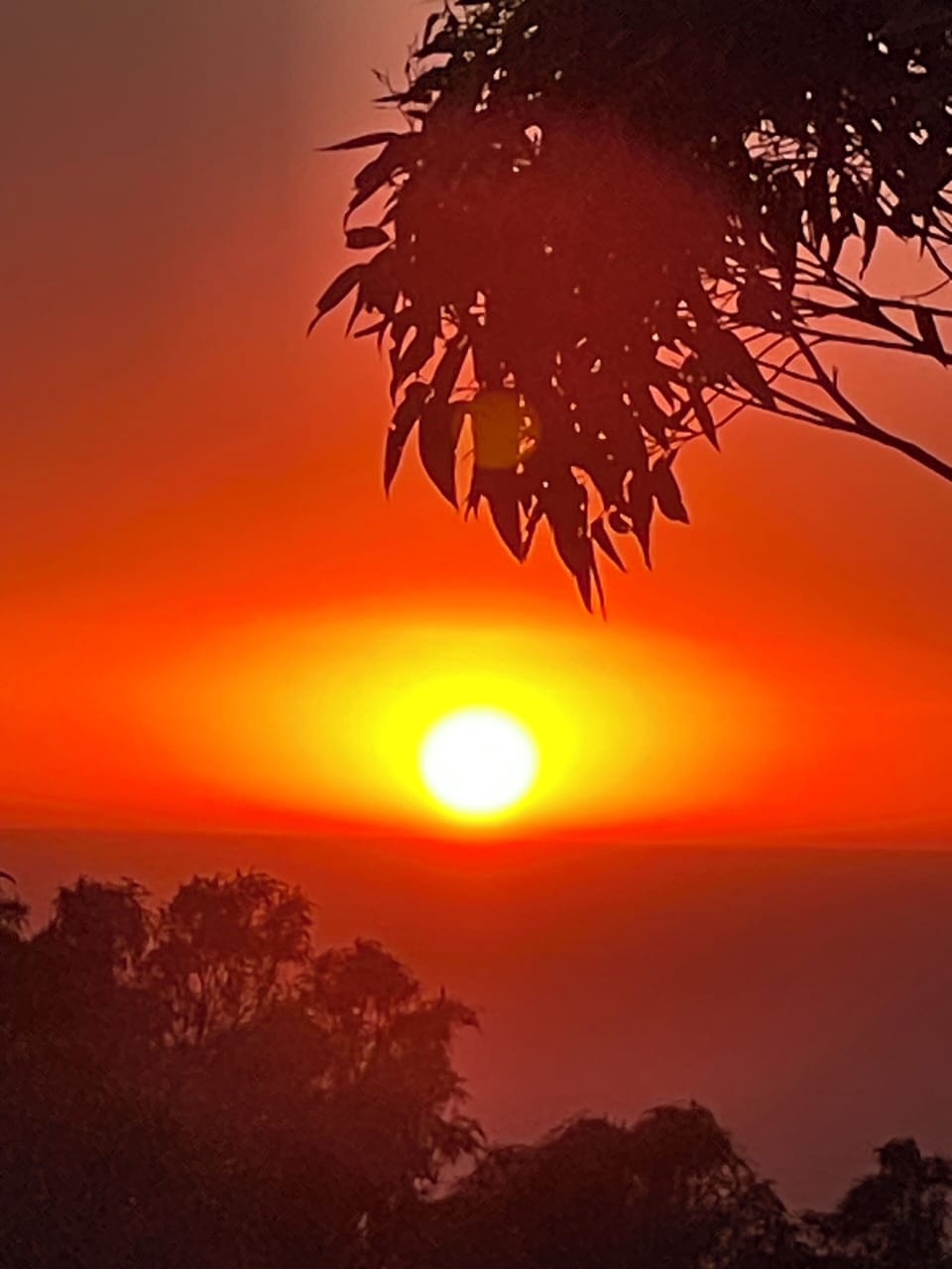 Sunrise from property. 