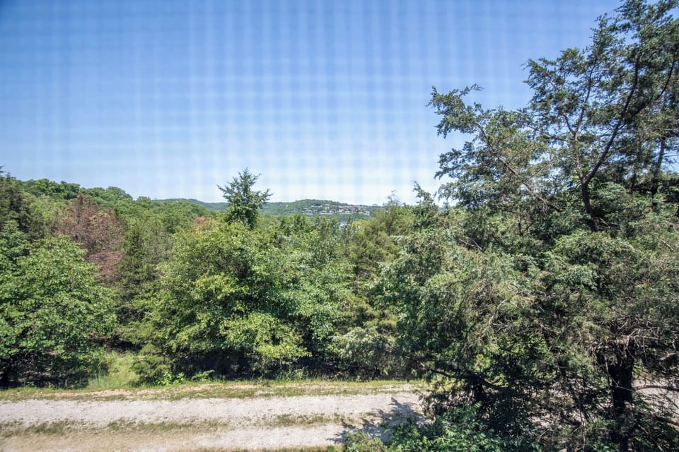 Back Deck View