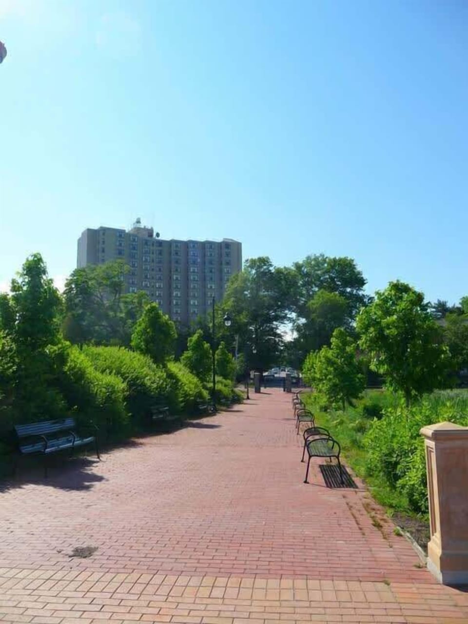 Beautiful Cool Spring park right down the street is a great place to take a walk or jog. 