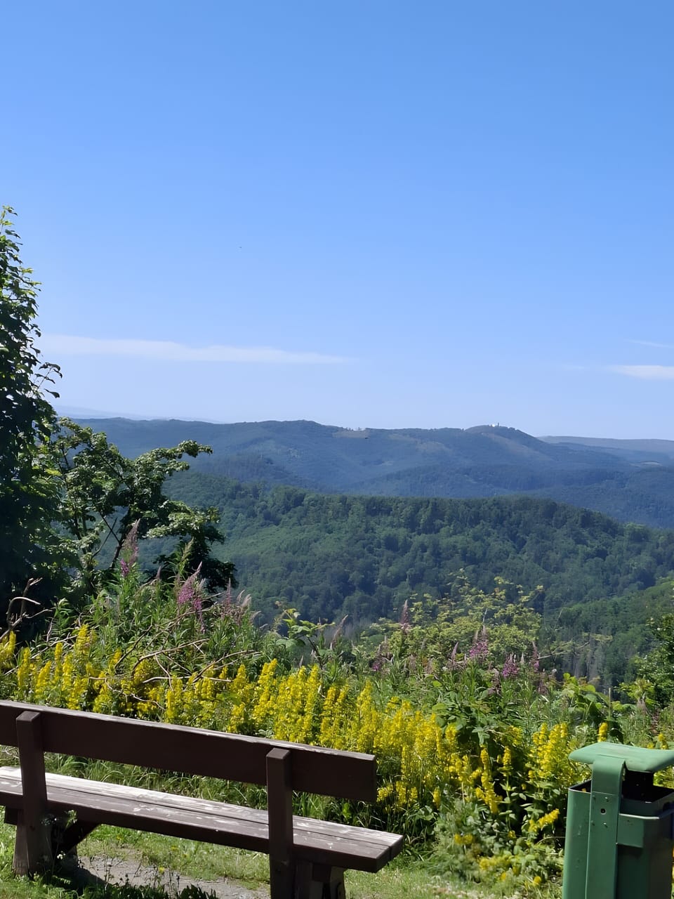 View from property