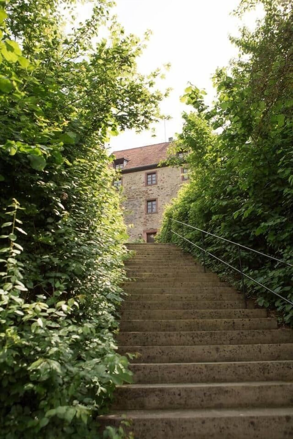 Stairs to the castle