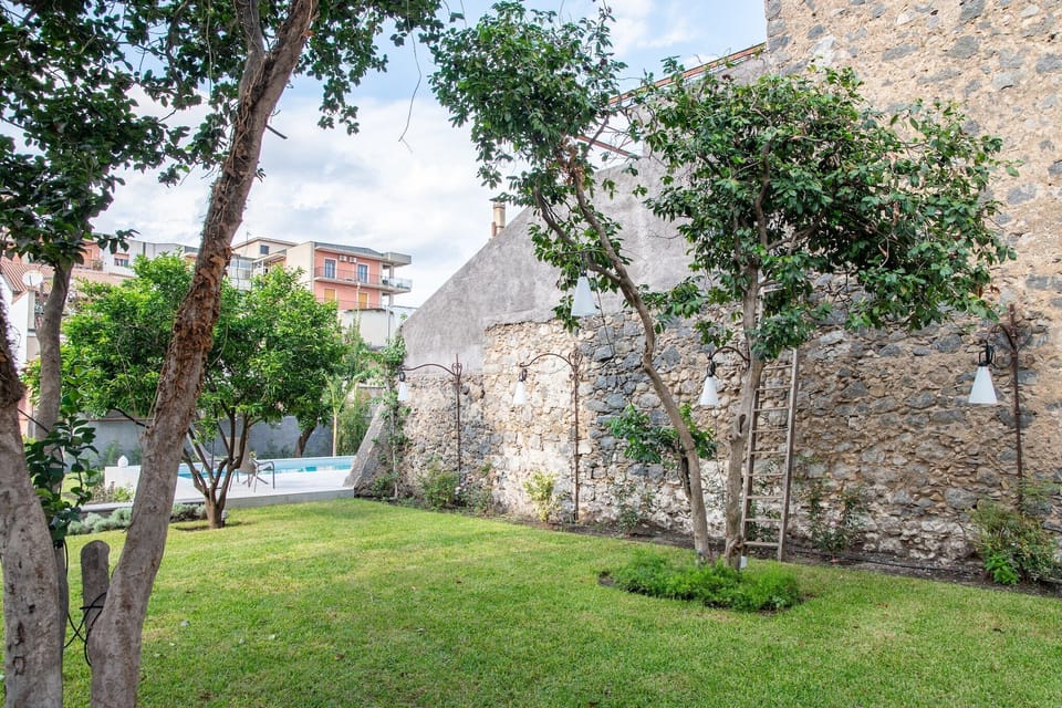 Garden [summer]