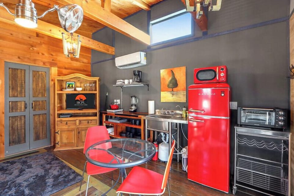 Large fridge and microwave