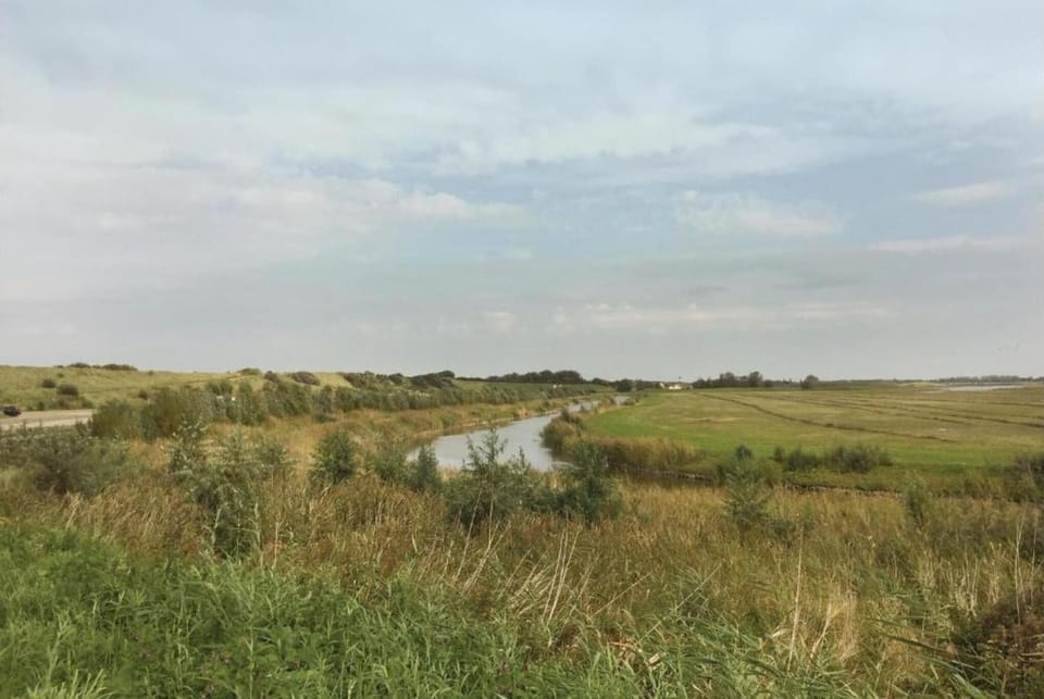 Region [summer] (>5 km)