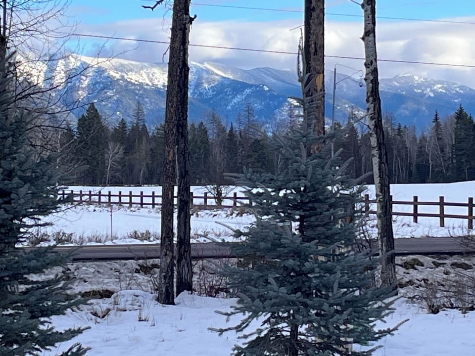 Winter View from Home