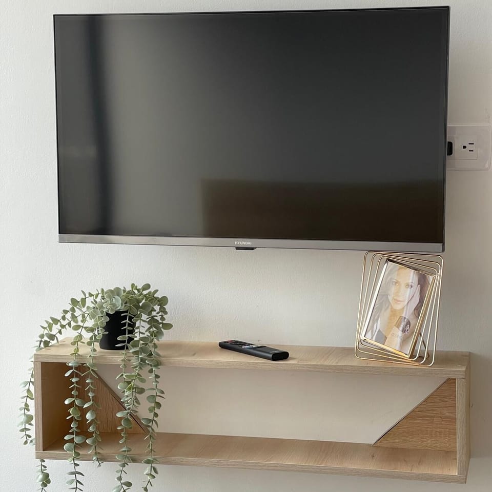 Television