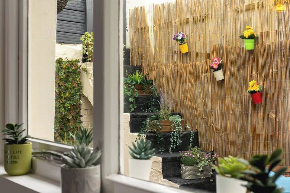 Charming courtyard view with colorful potted plants