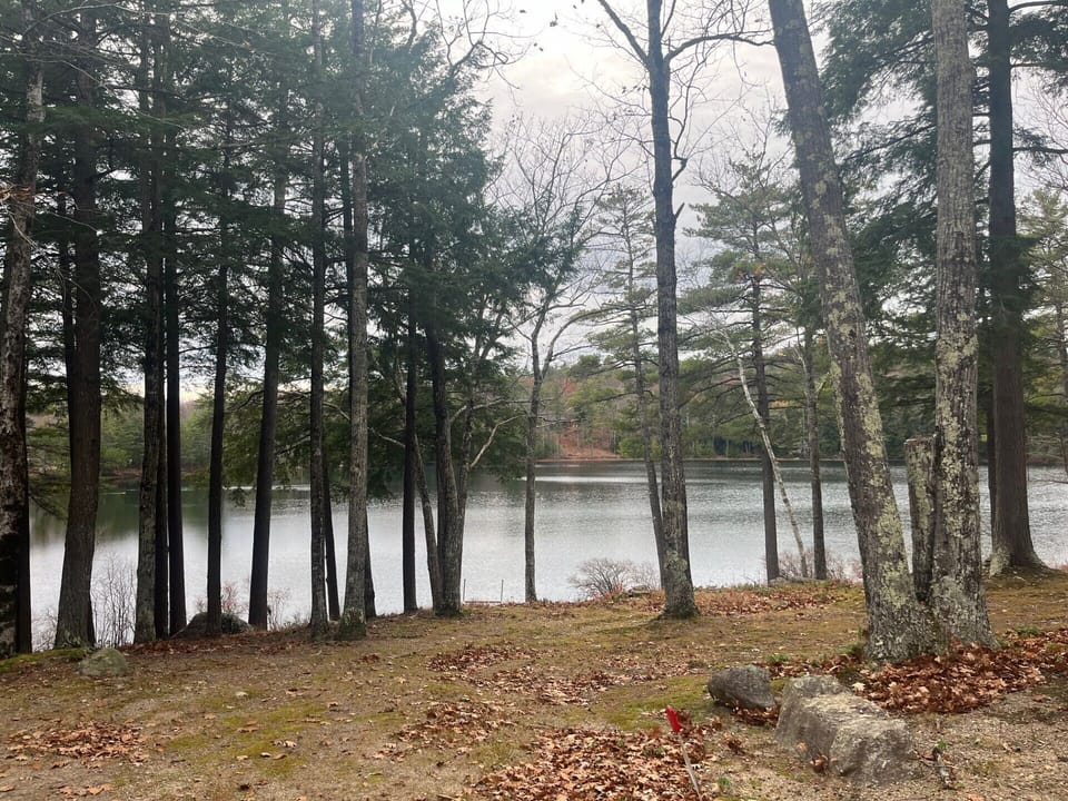 view of pond from home