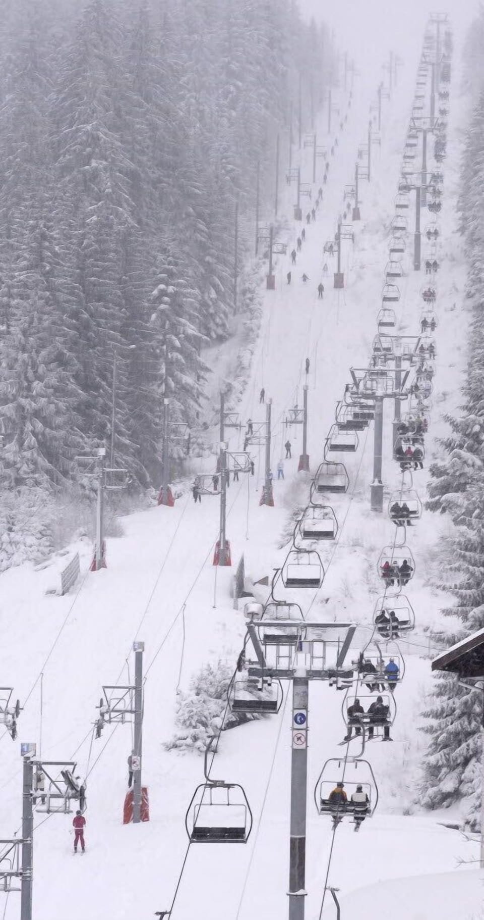 Snow and ski sports