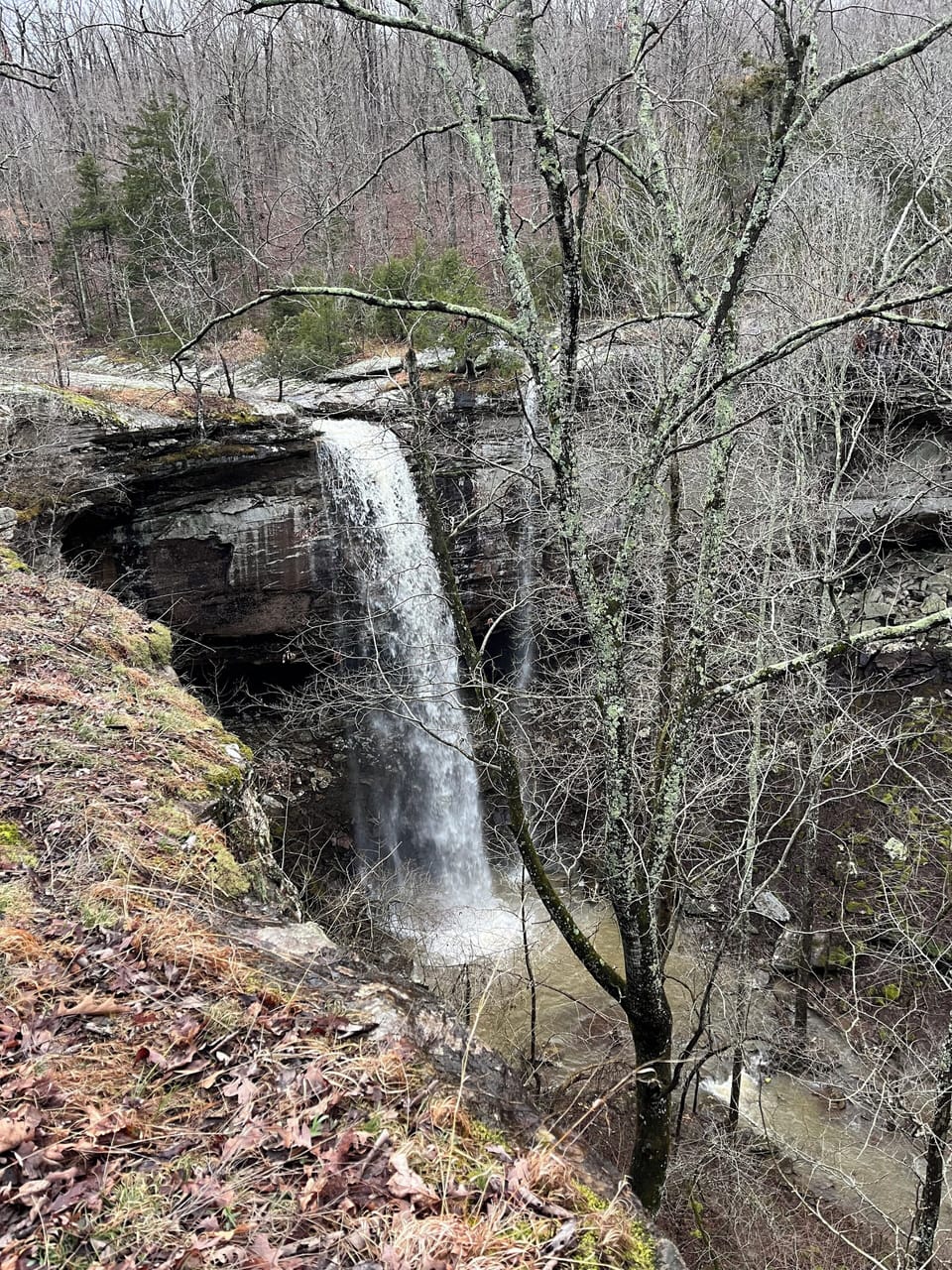 Sweden Creek Falls